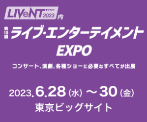 300×250